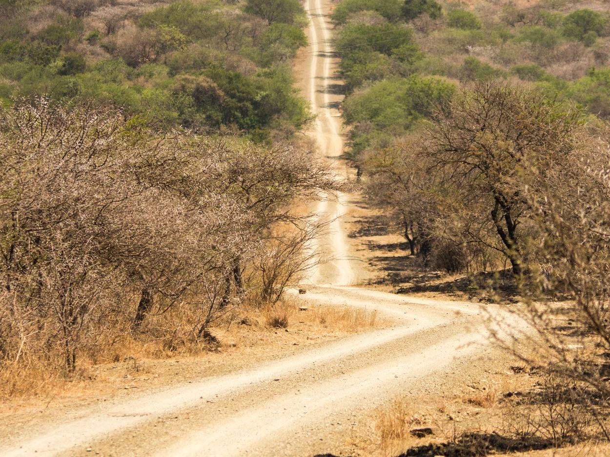 A gravel track running through dry savanna towards a distant gate